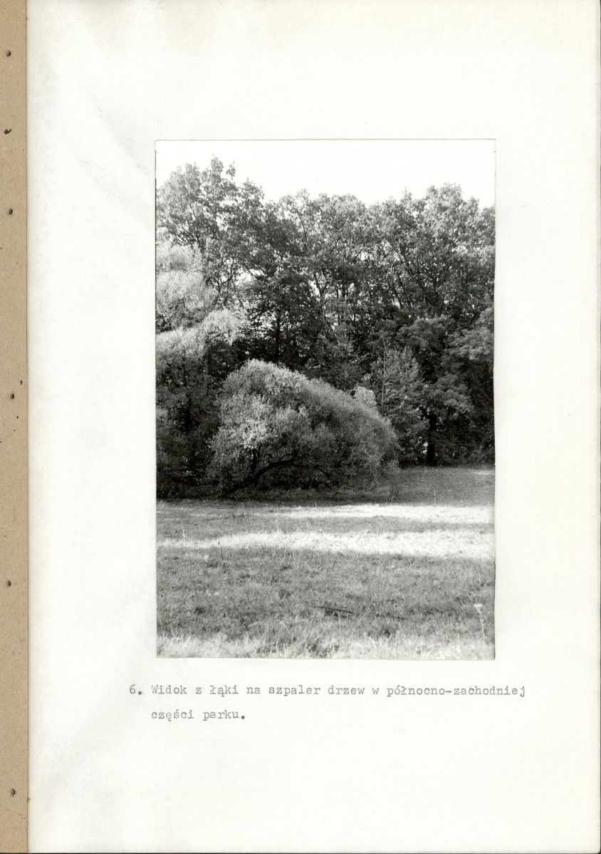 EP - Ewidencja parkowa, skan nr 29