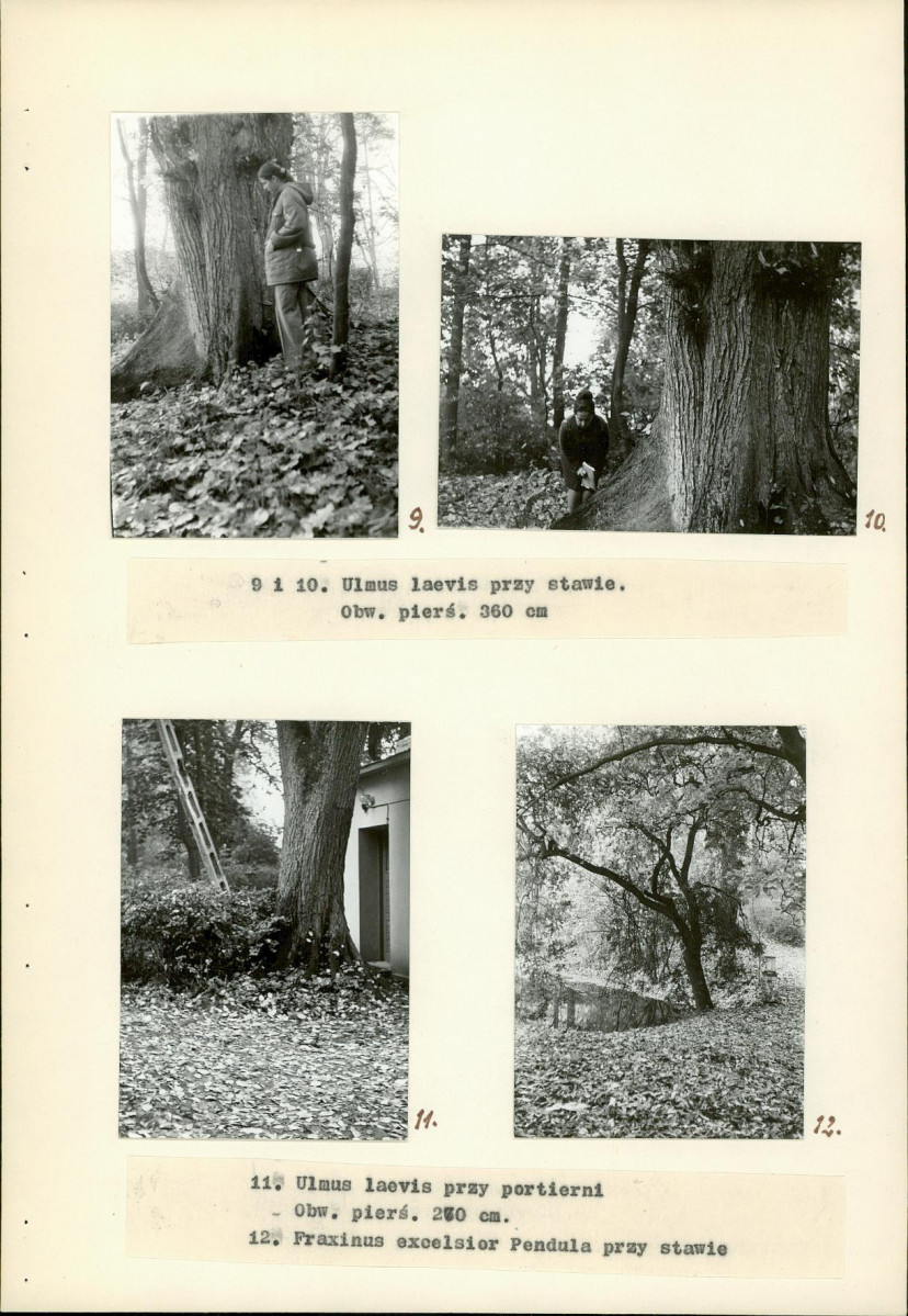 Ewidencja parkowa, skan nr 17