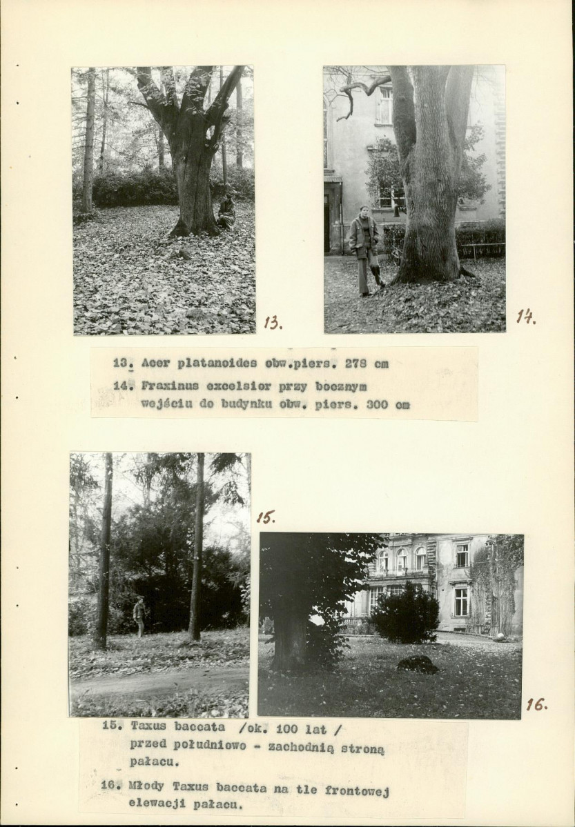 Ewidencja parkowa, skan nr 18