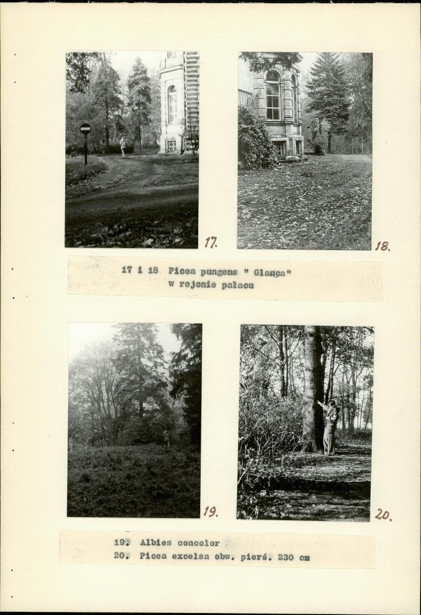 Ewidencja parkowa, skan nr 19