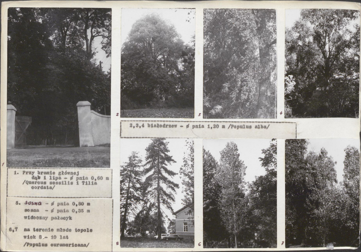 Ewidencja parkowa, skan nr 19