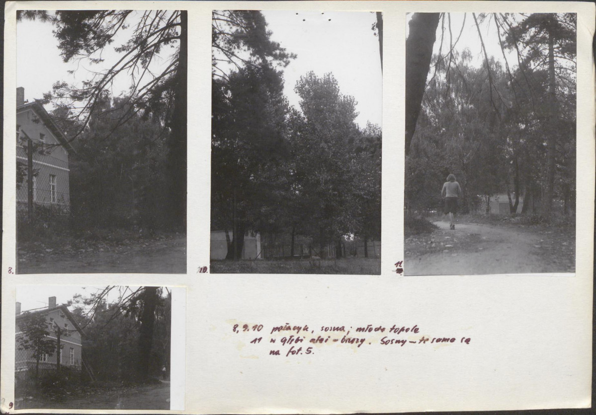 Ewidencja parkowa, skan nr 20