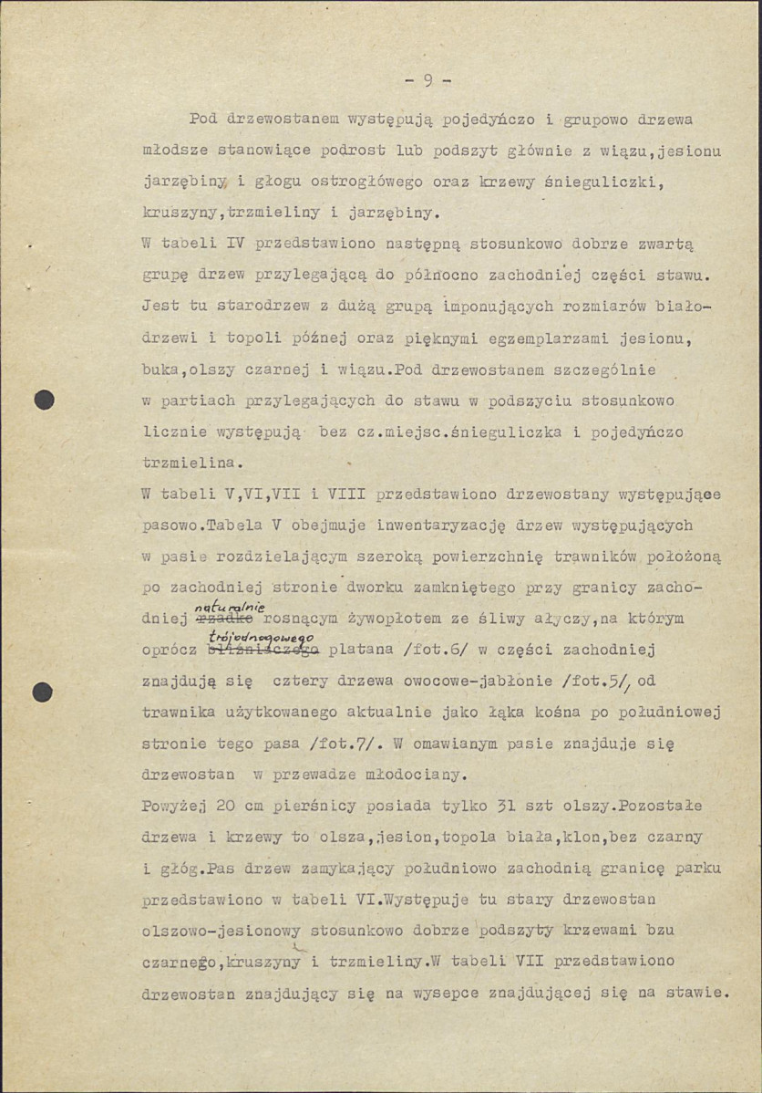 EP - Ewidencja parkowa, skan nr 16