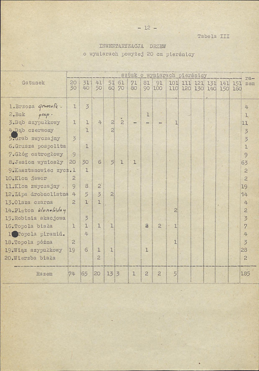 EP - Ewidencja parkowa, skan nr 19