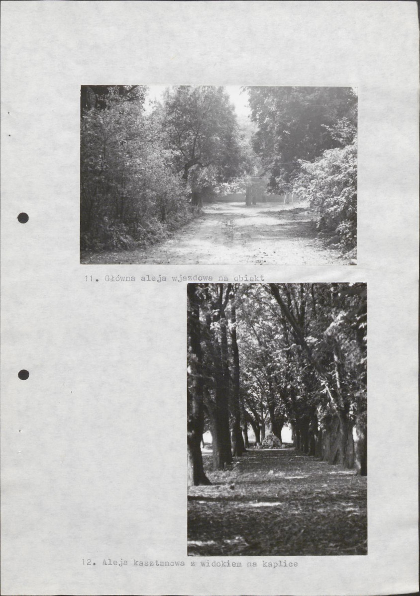 Ewidencja parkowa, skan nr 28