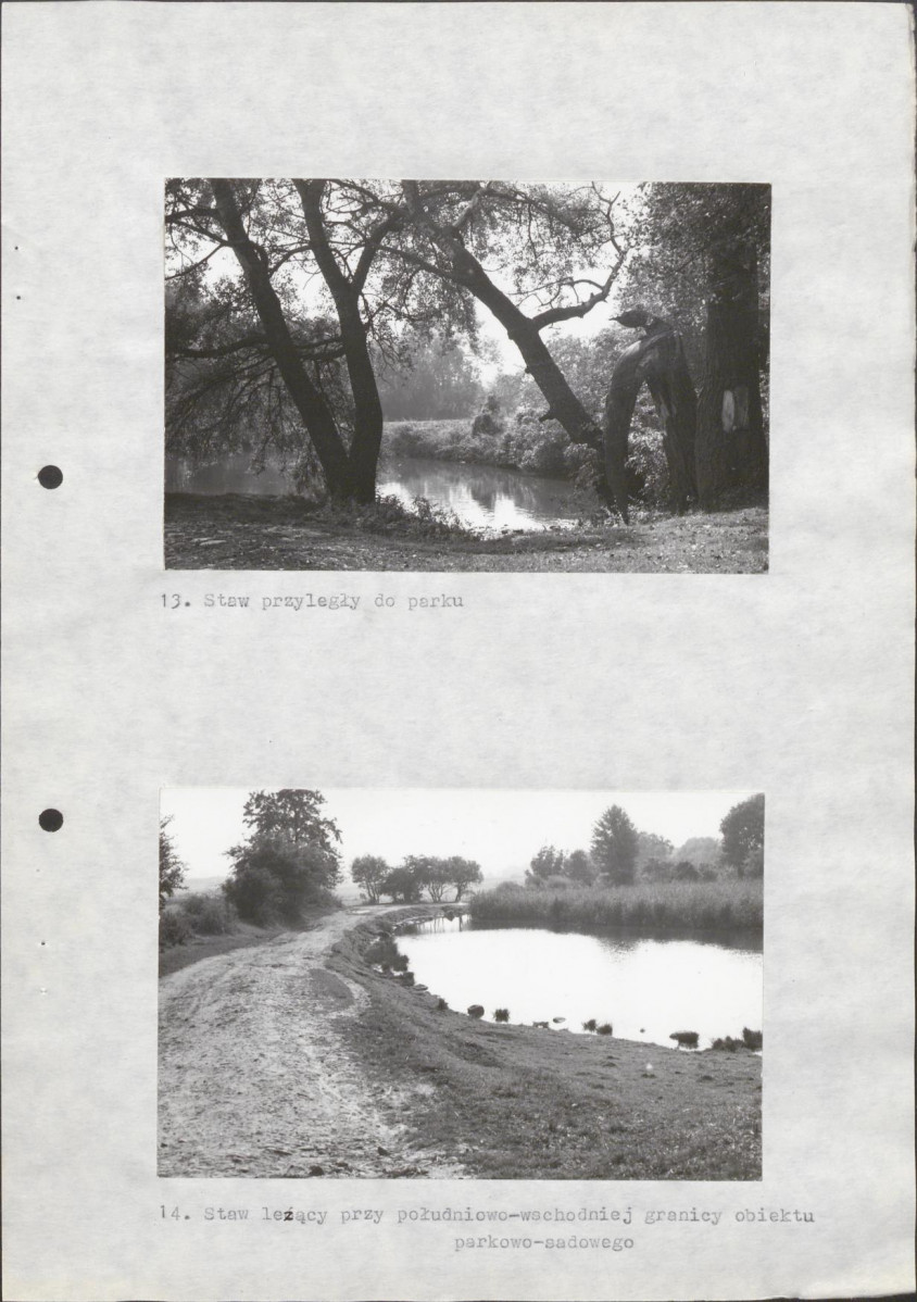 Ewidencja parkowa, skan nr 29