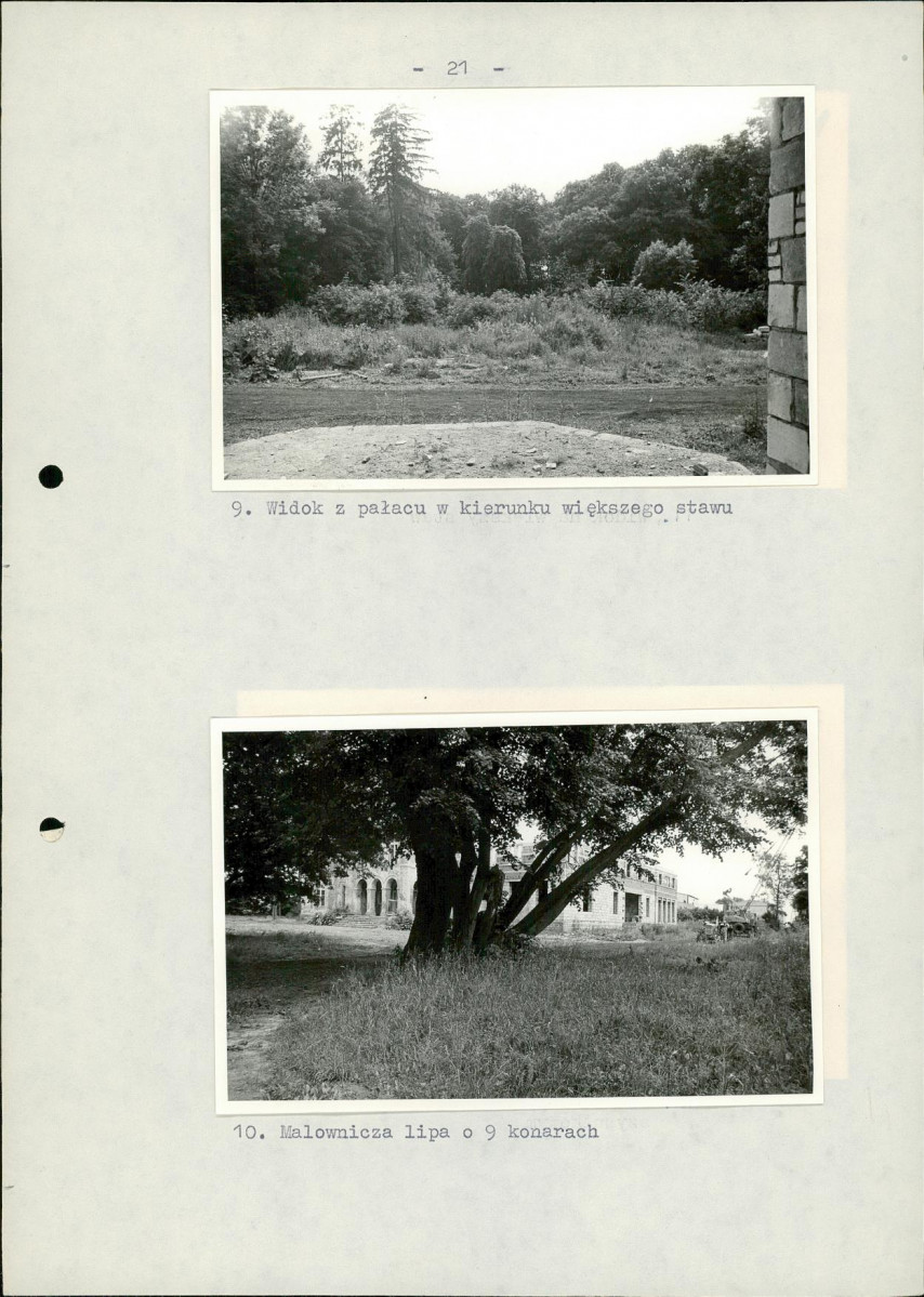 EP - Ewidencja parkowa, skan nr 27