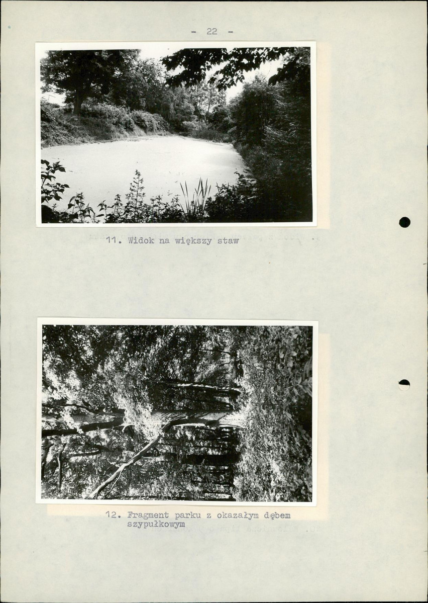 EP - Ewidencja parkowa, skan nr 28