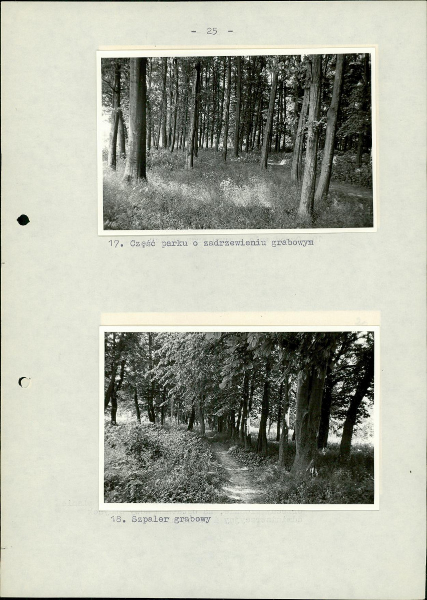 EP - Ewidencja parkowa, skan nr 31