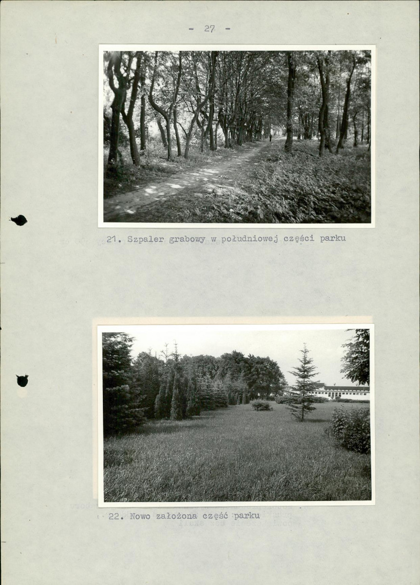 EP - Ewidencja parkowa, skan nr 33