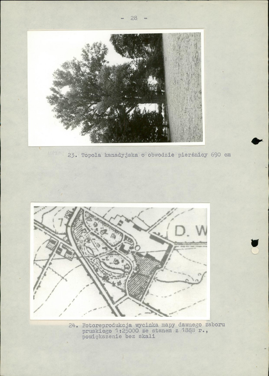 EP - Ewidencja parkowa, skan nr 34