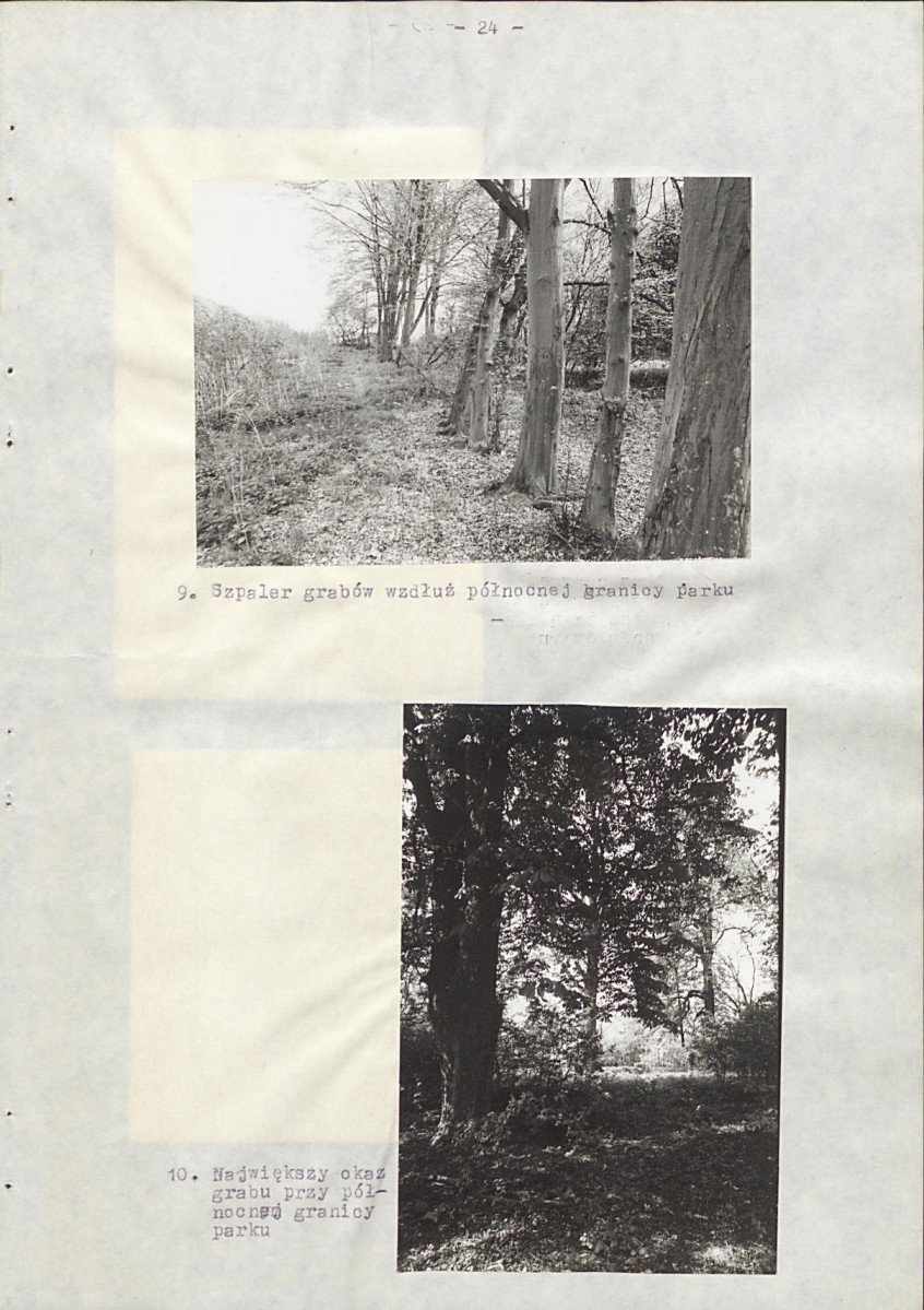 EP - Ewidencja parkowa, skan nr 32