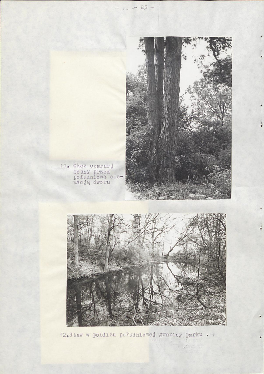 EP - Ewidencja parkowa, skan nr 33