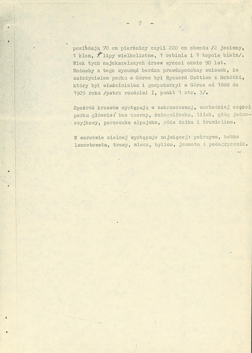 Ewidencja parkowa, skan nr 13