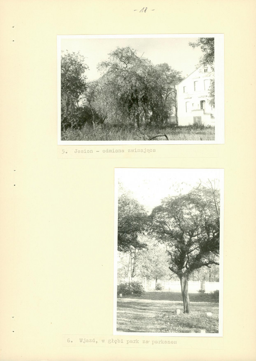 Ewidencja parkowa, skan nr 24