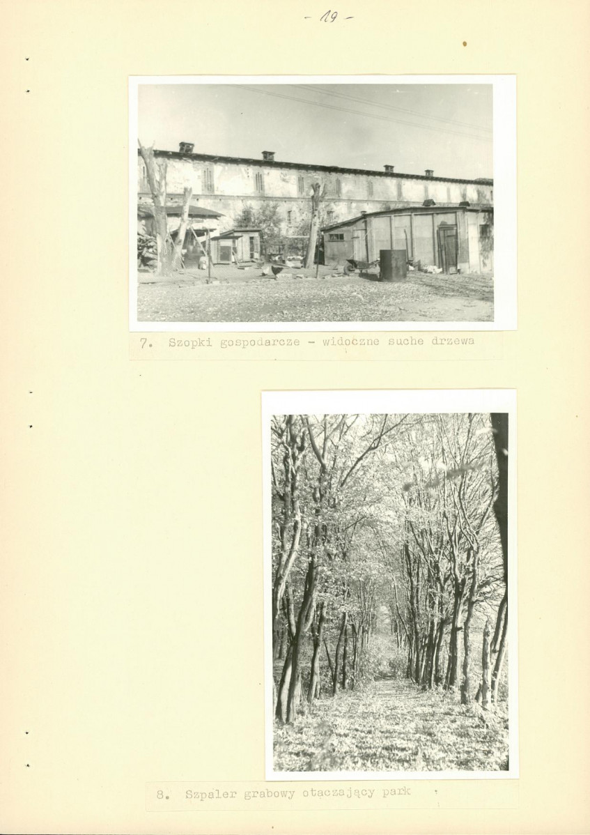 Ewidencja parkowa, skan nr 25