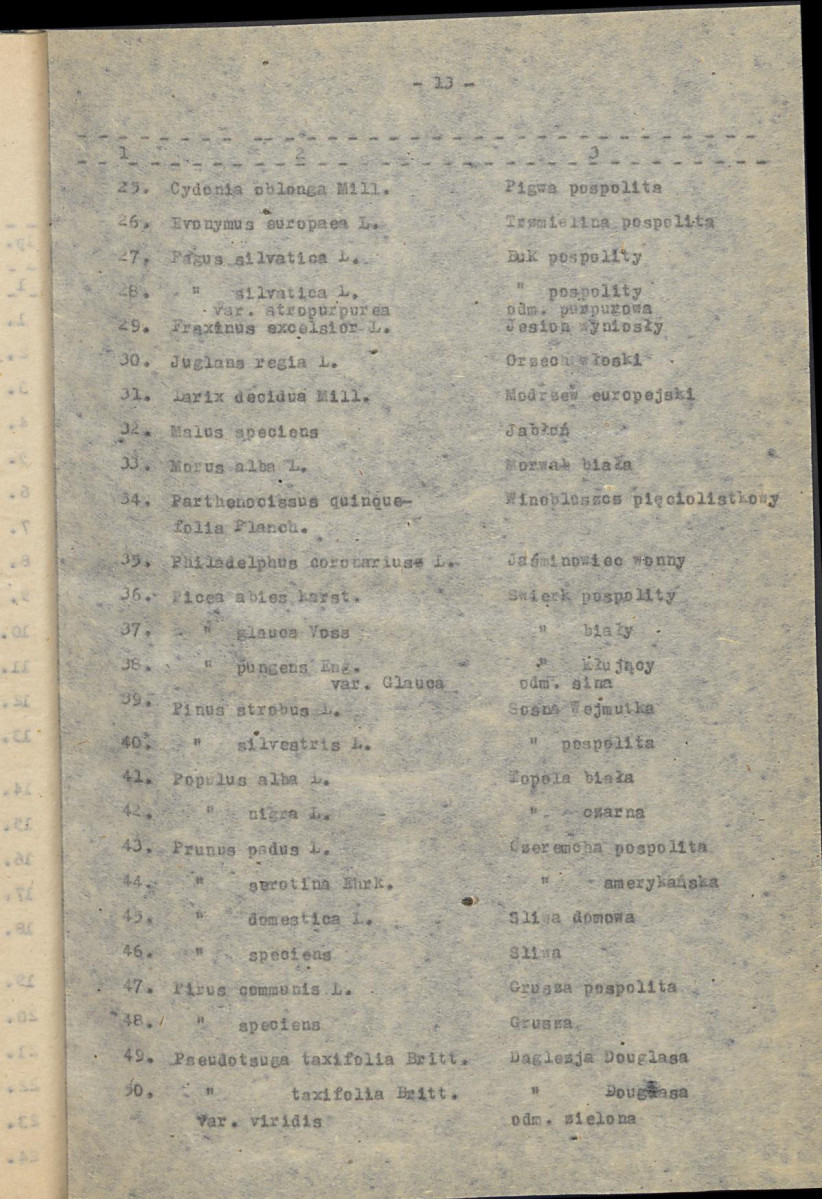 EP - Ewidencja parkowa, skan nr 19