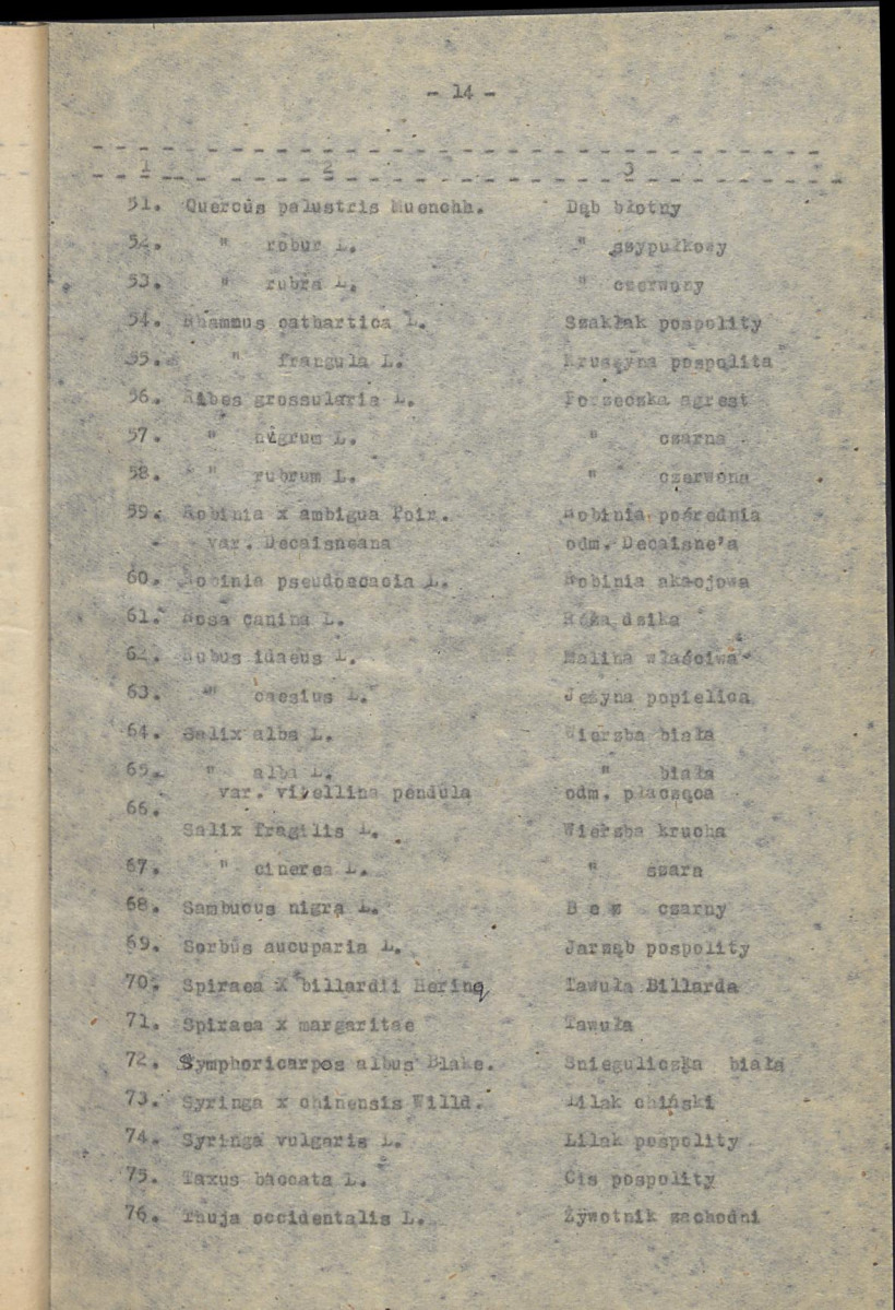 EP - Ewidencja parkowa, skan nr 20