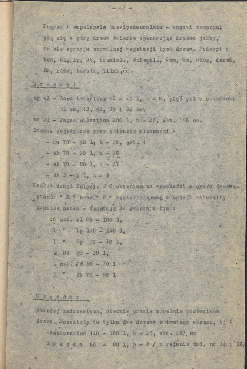 EP - Ewidencja parkowa, skan nr 33