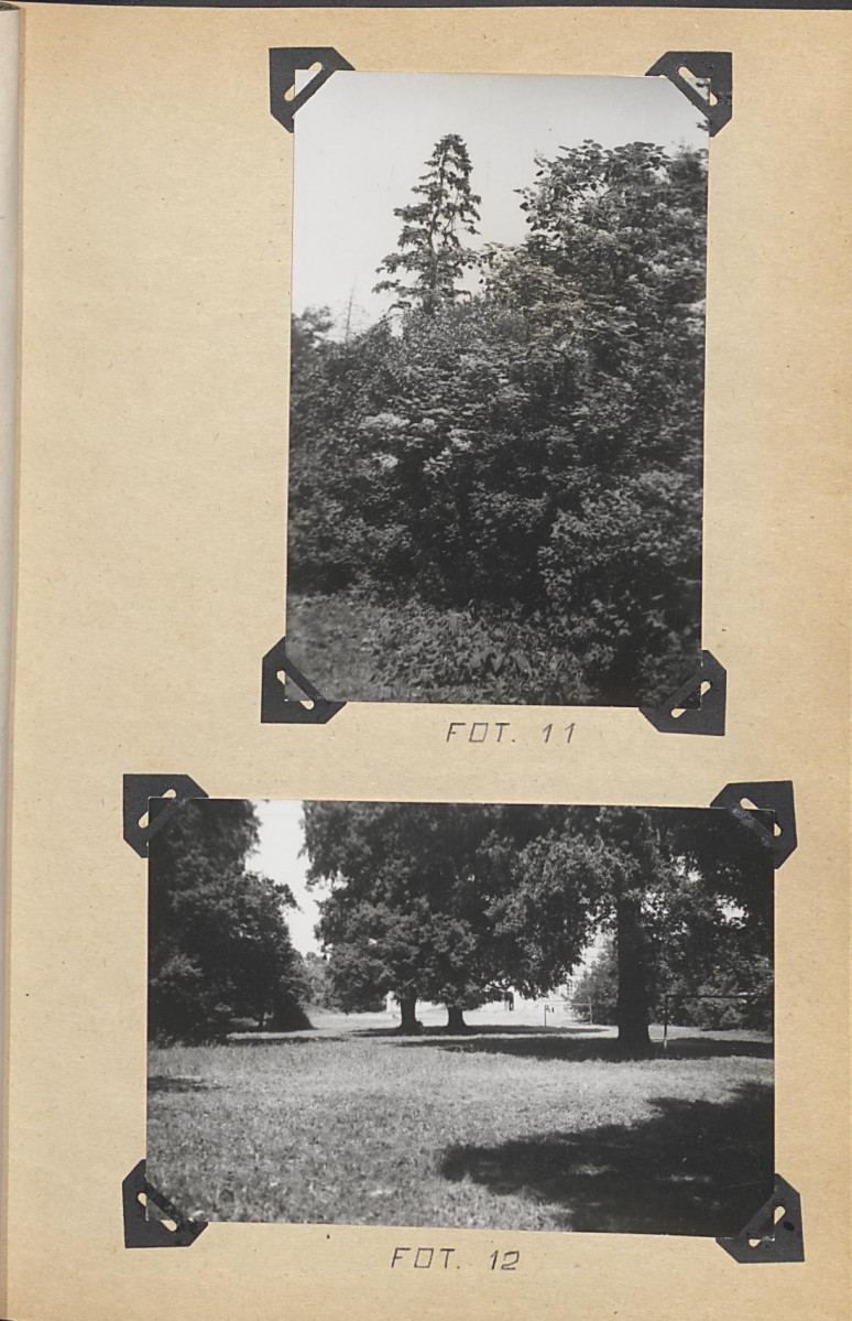 EP - Ewidencja parkowa, skan nr 55