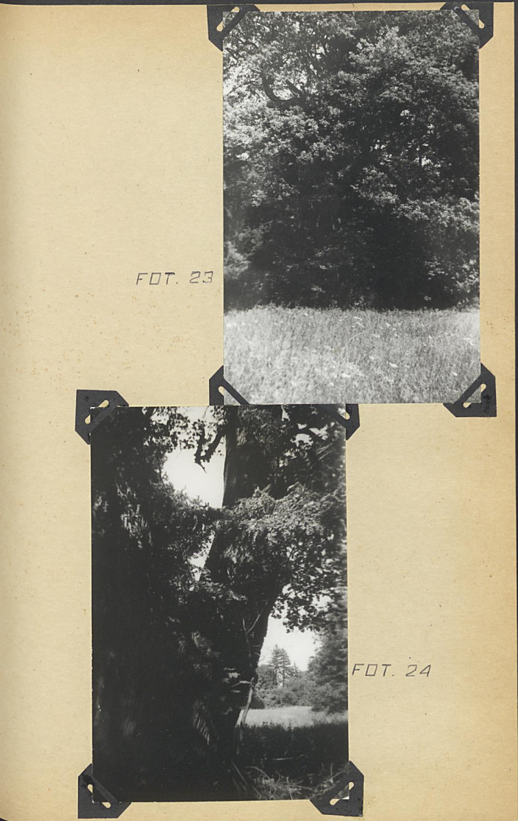 EP - Ewidencja parkowa, skan nr 61