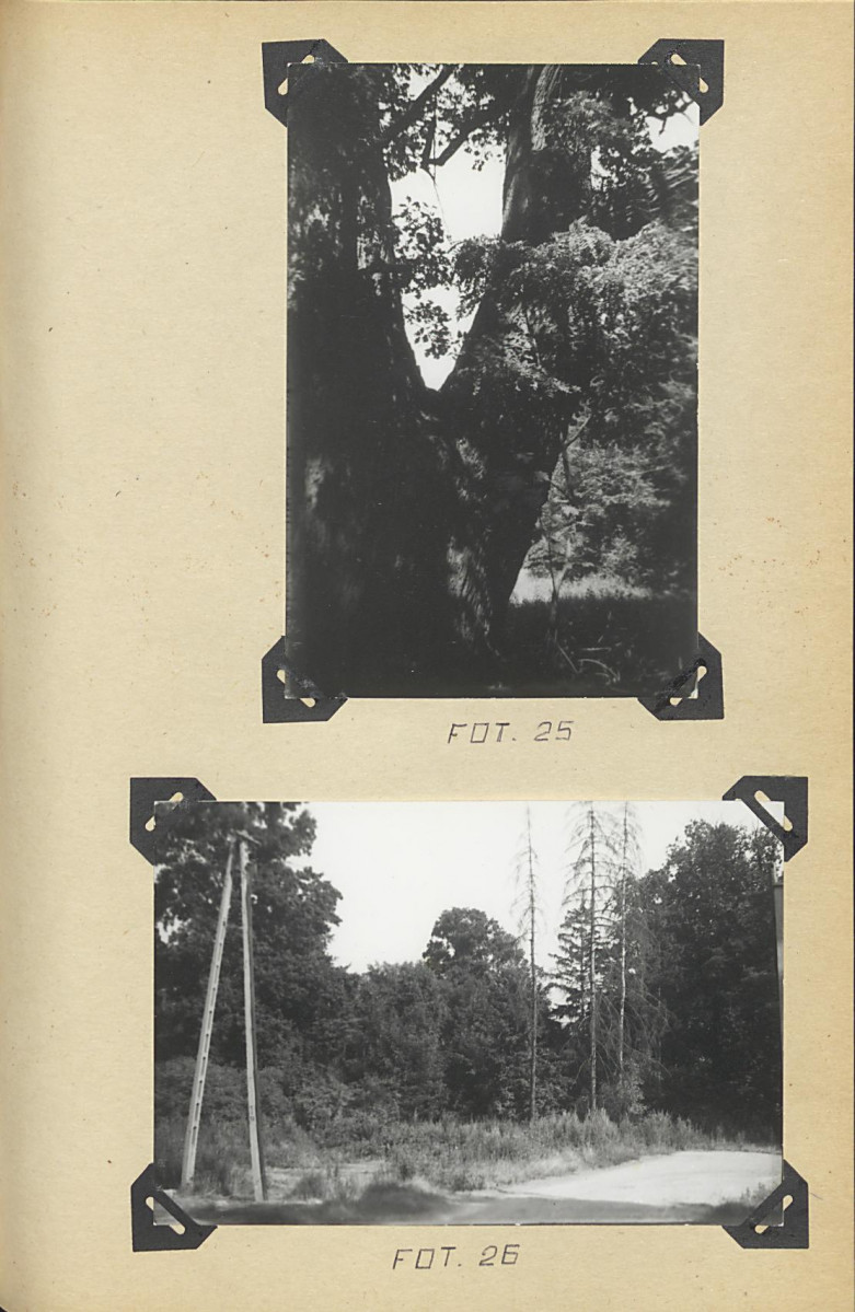 EP - Ewidencja parkowa, skan nr 62