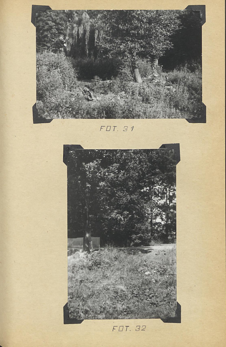 EP - Ewidencja parkowa, skan nr 65