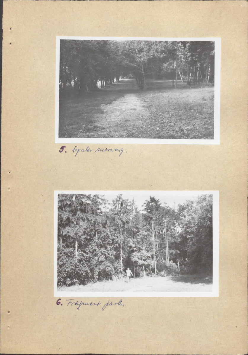 EP - Ewidencja parkowa, skan nr 21