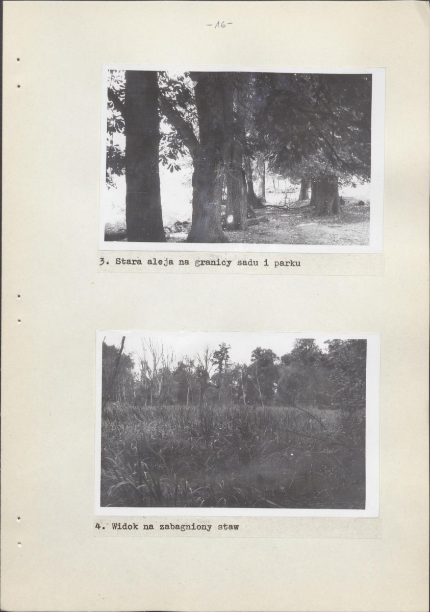 Ewidencja parkowa, skan nr 23
