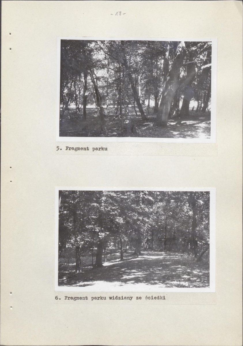 Ewidencja parkowa, skan nr 24