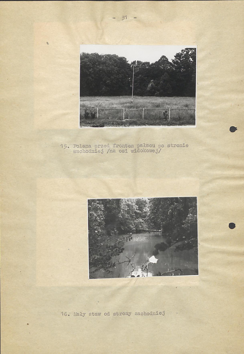 Ewidencja parkowa, skan nr 38