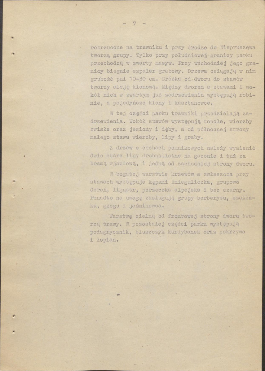 Ewidencja parkowa, skan nr 13