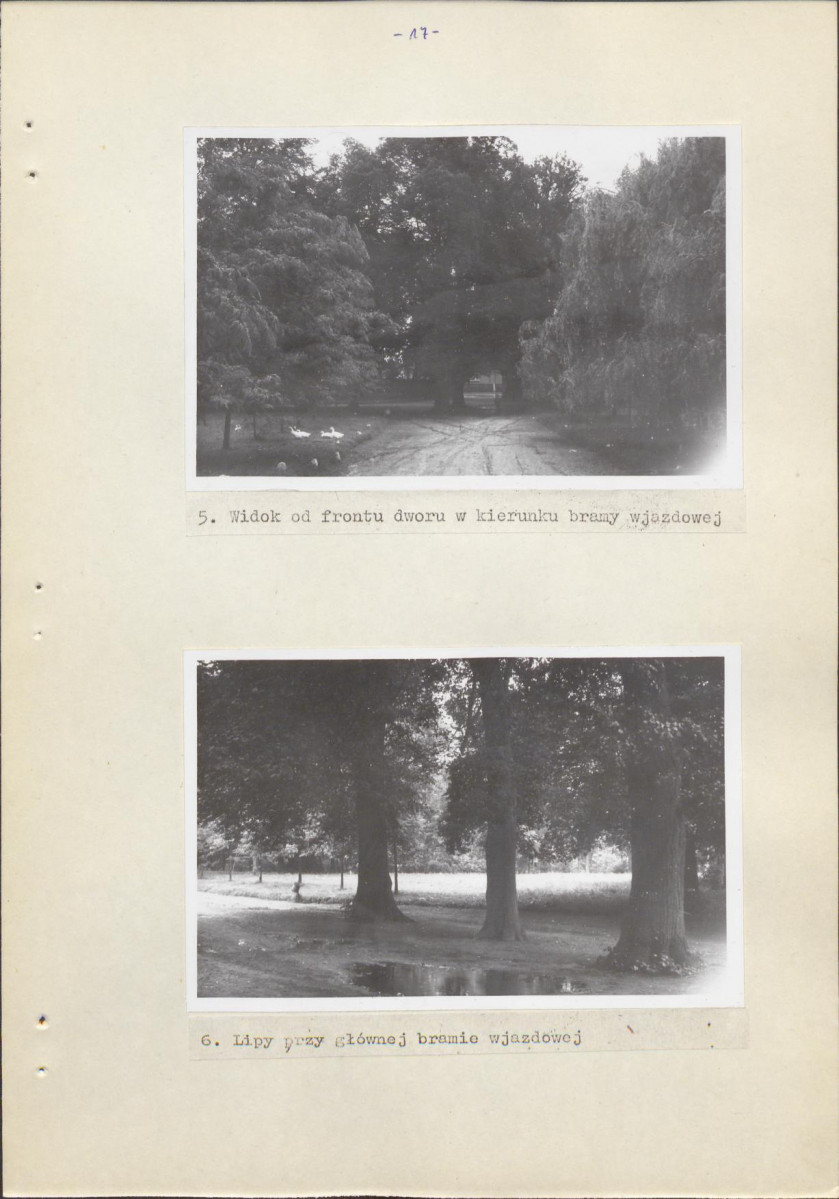 Ewidencja parkowa, skan nr 23