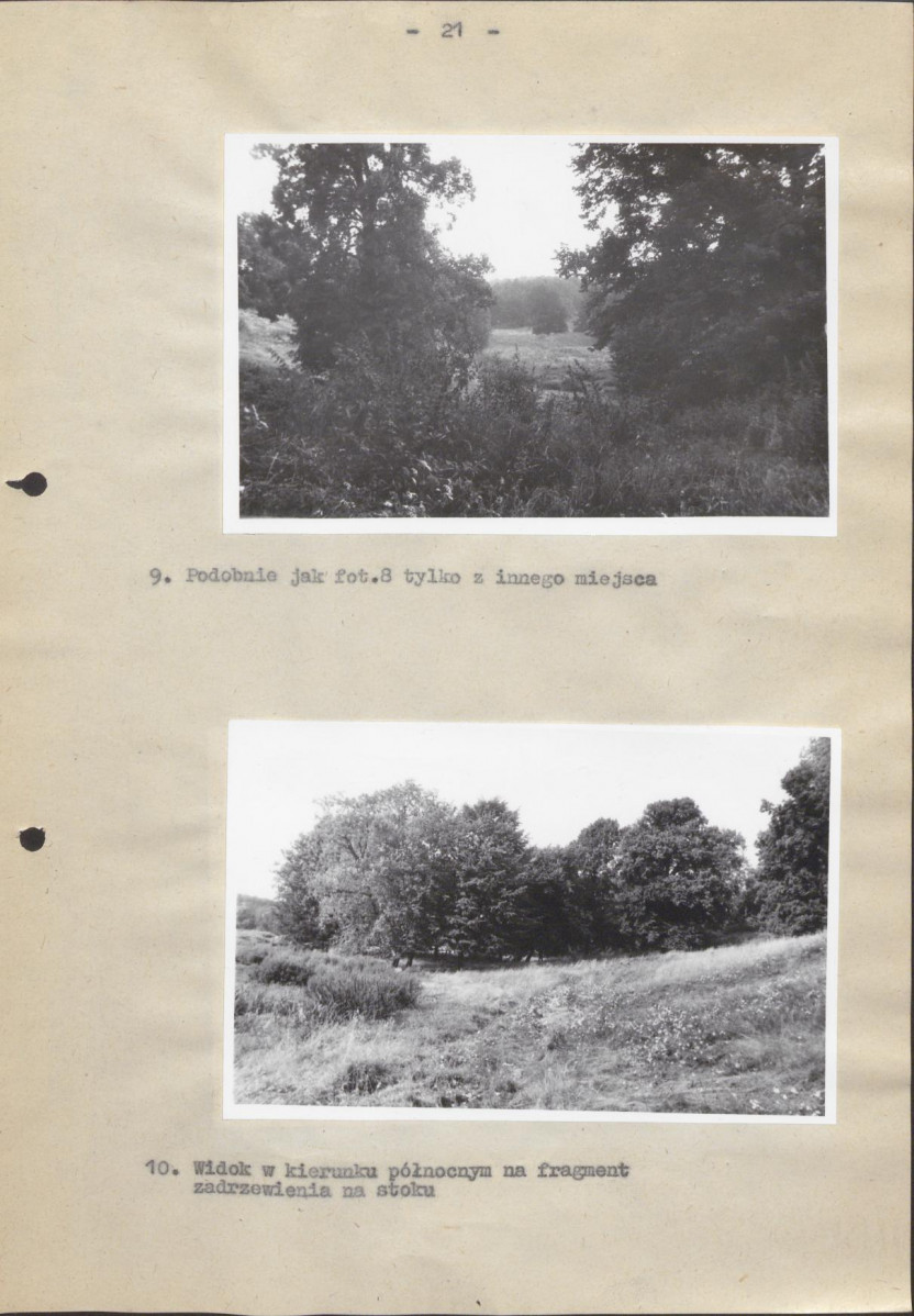 Ewidencja parkowa, skan nr 27