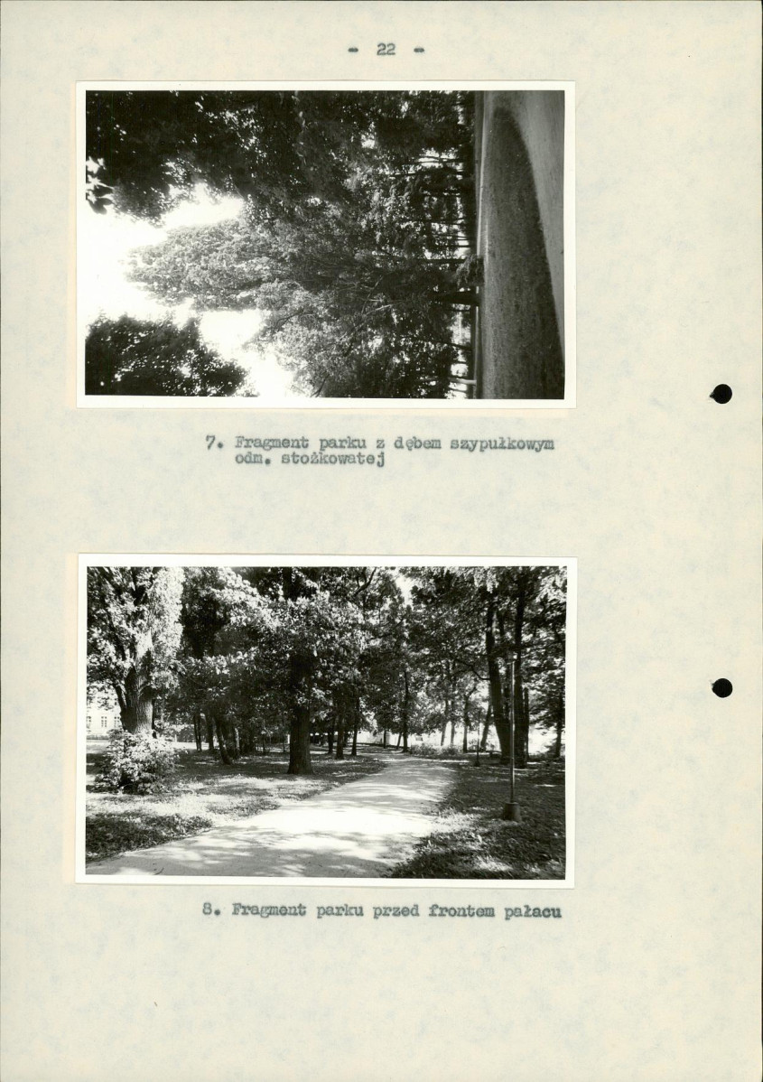 EP - Ewidencja parkowa, skan nr 28