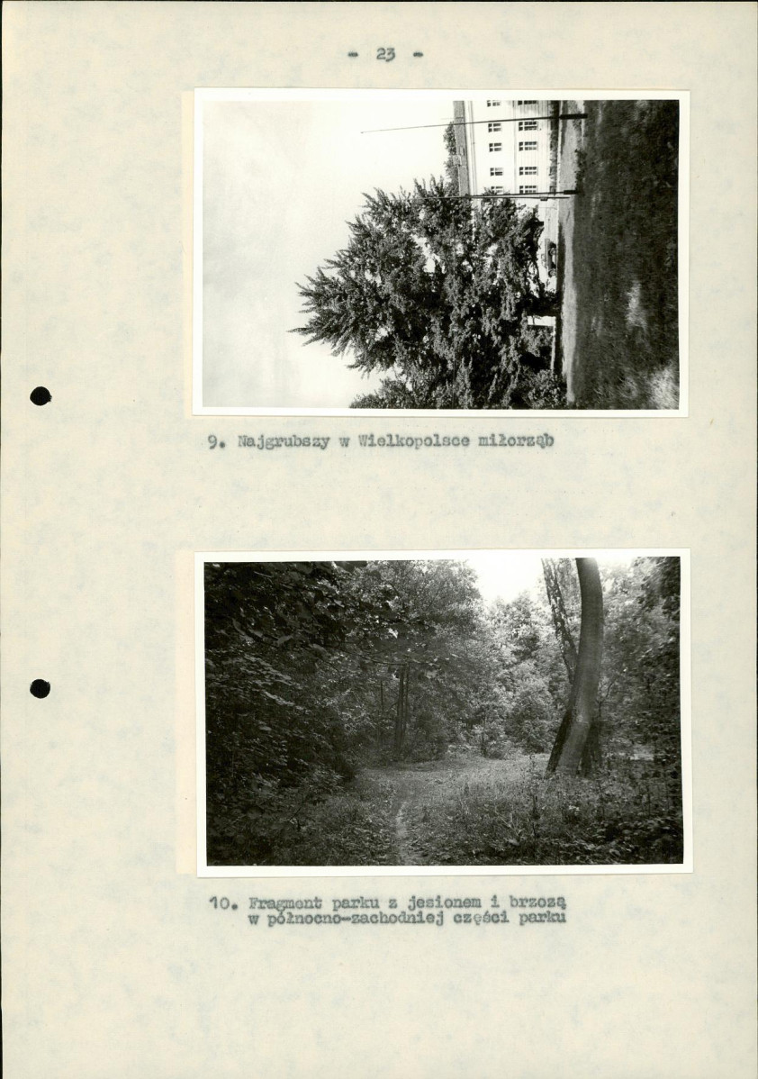 EP - Ewidencja parkowa, skan nr 29