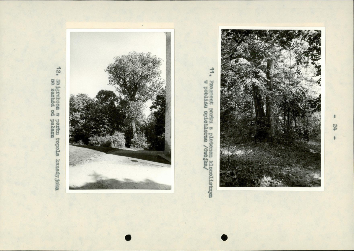 EP - Ewidencja parkowa, skan nr 30