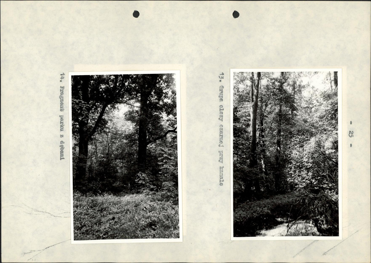 EP - Ewidencja parkowa, skan nr 31