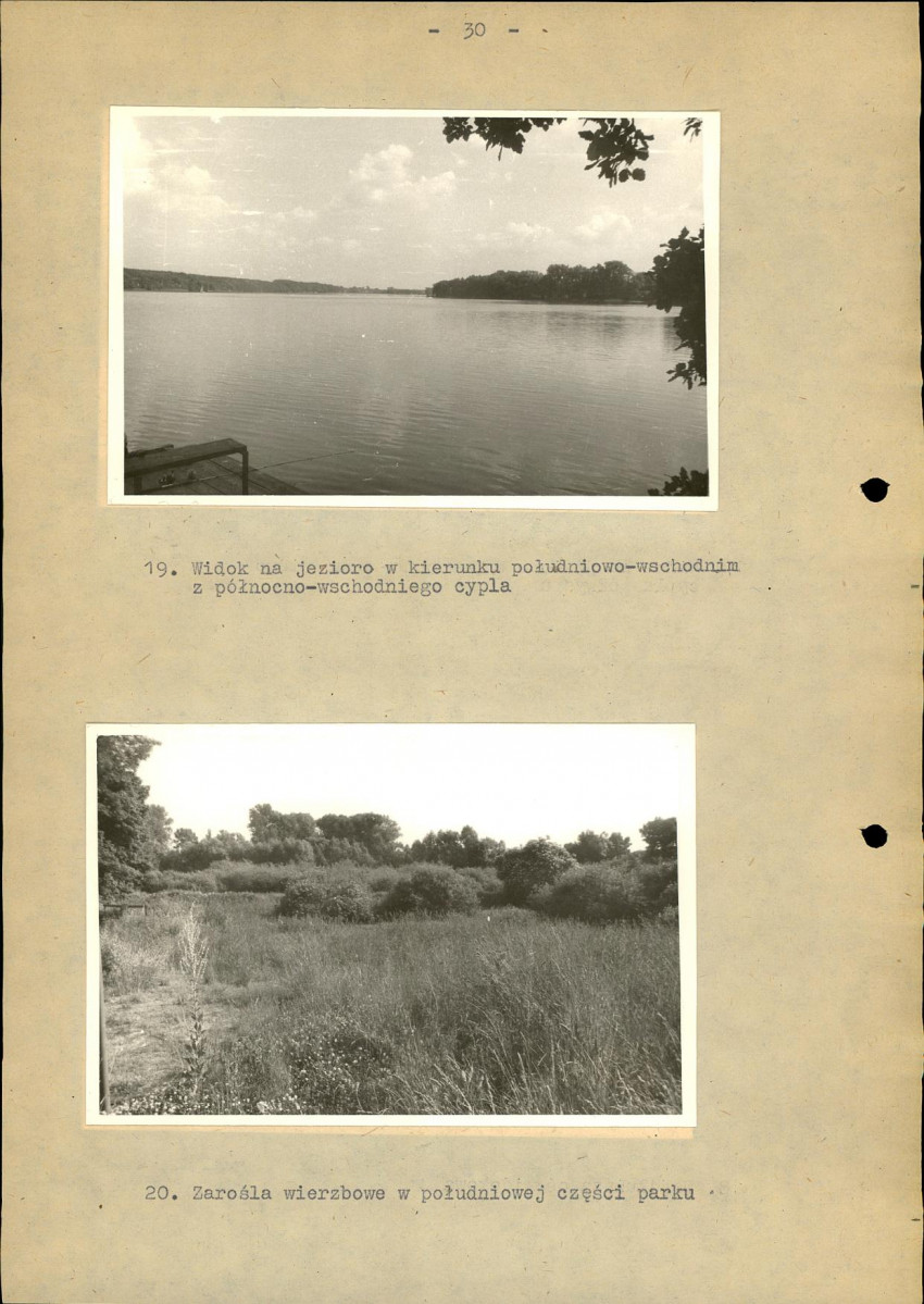 EP - Ewidencja parkowa, skan nr 36