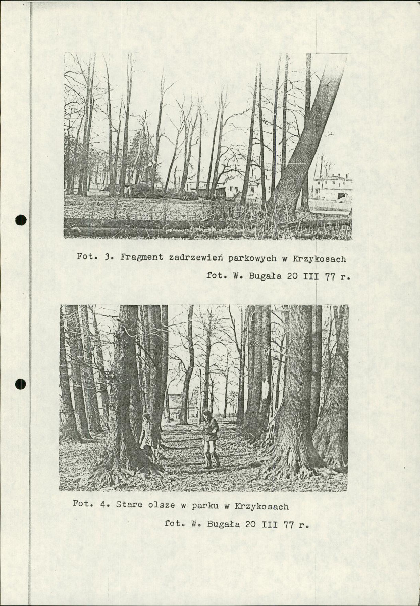 Ewidencja parkowa, skan nr 23