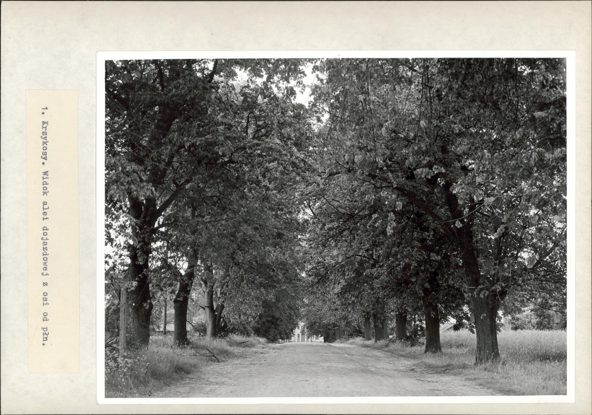 Ewidencja parkowa, skan nr 26