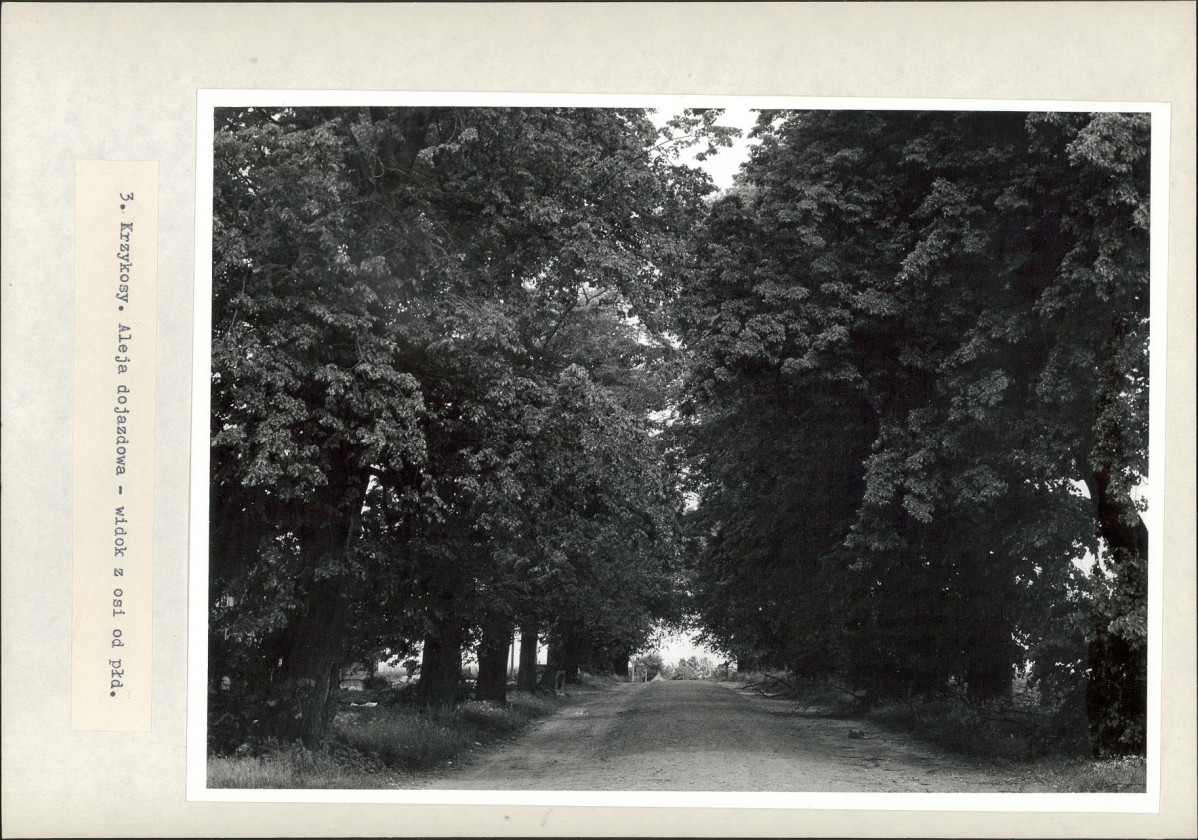 Ewidencja parkowa, skan nr 28