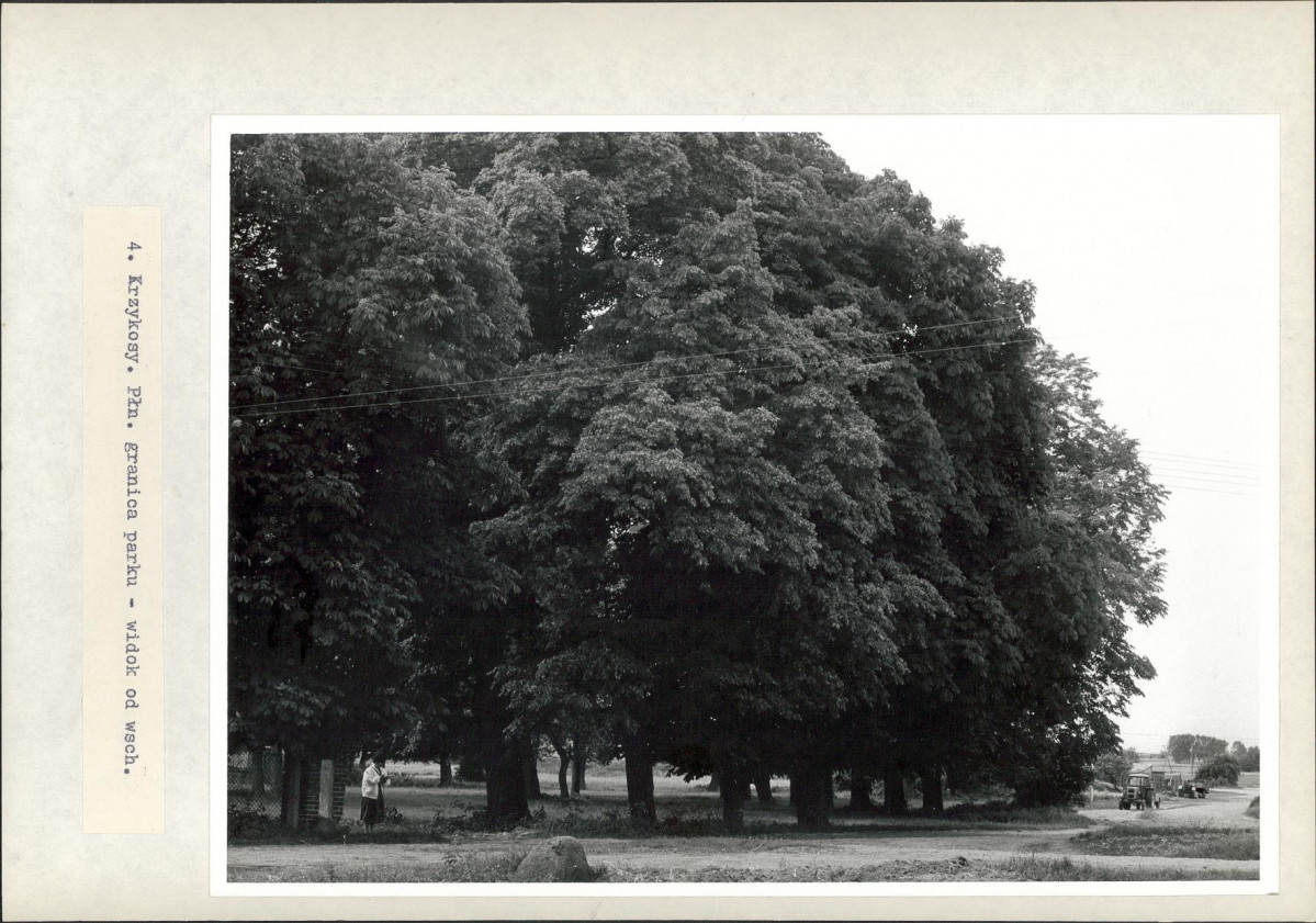 Ewidencja parkowa, skan nr 29