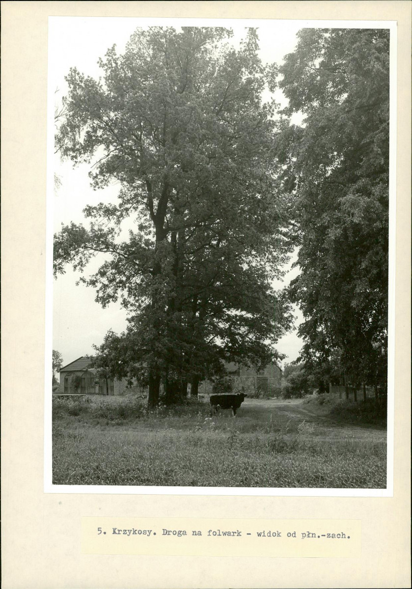 Ewidencja parkowa, skan nr 30