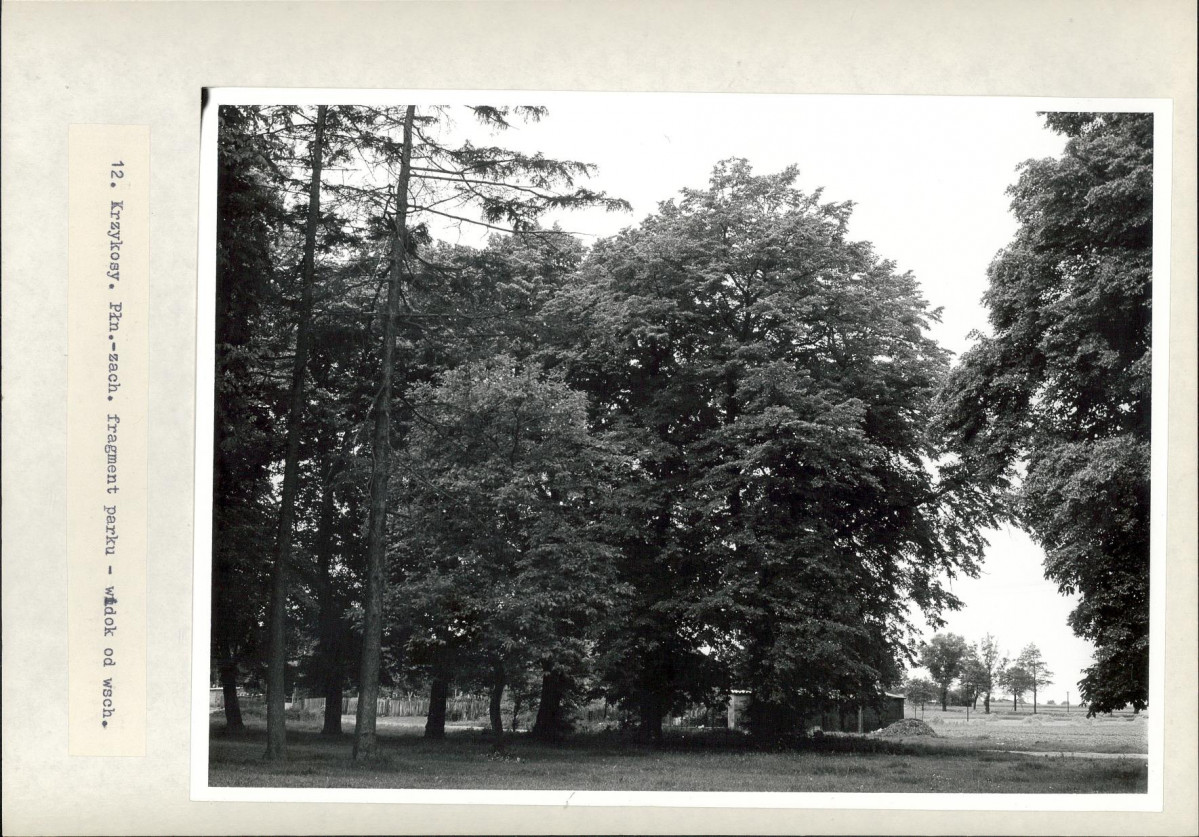 Ewidencja parkowa, skan nr 37