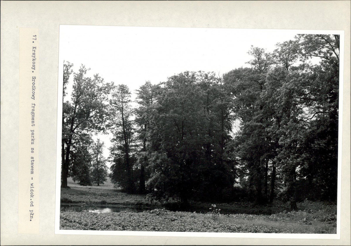 Ewidencja parkowa, skan nr 42