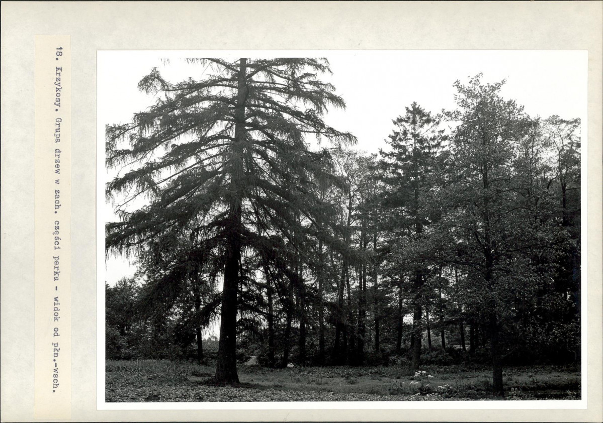 Ewidencja parkowa, skan nr 43