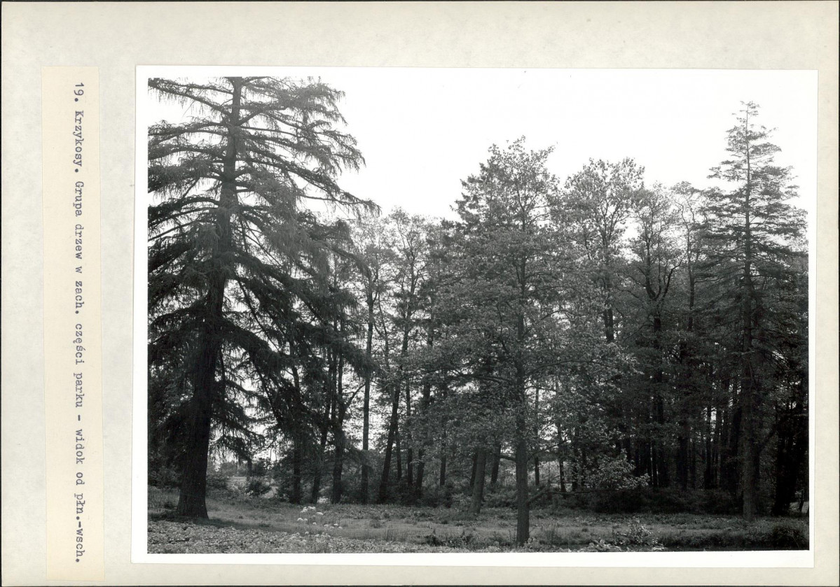 Ewidencja parkowa, skan nr 44