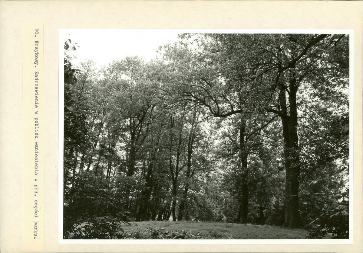 Ewidencja parkowa, skan nr 45