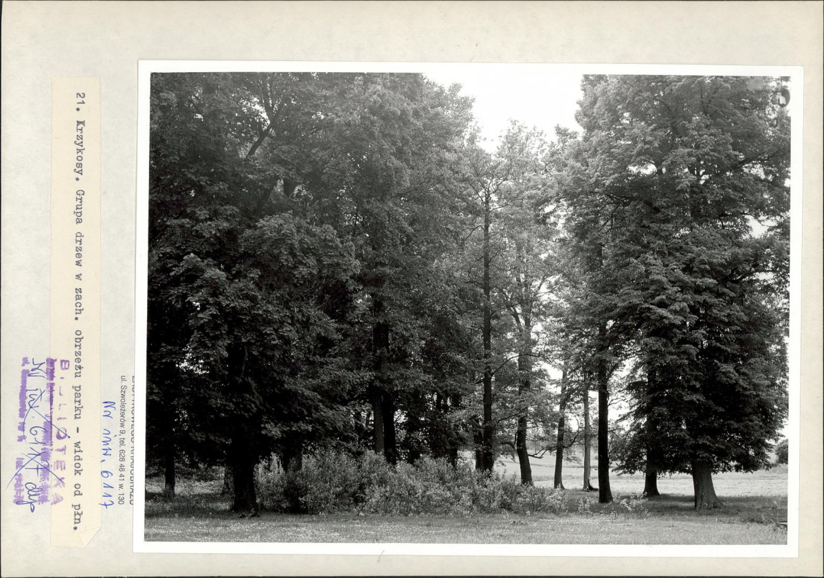 Ewidencja parkowa, skan nr 46